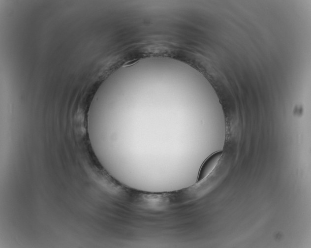 X0000097620187200803142010