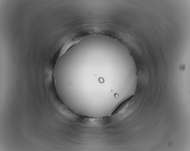 X0000097620188200803142010