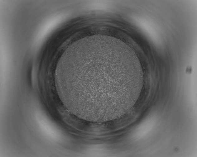 X0000097620189200803142010