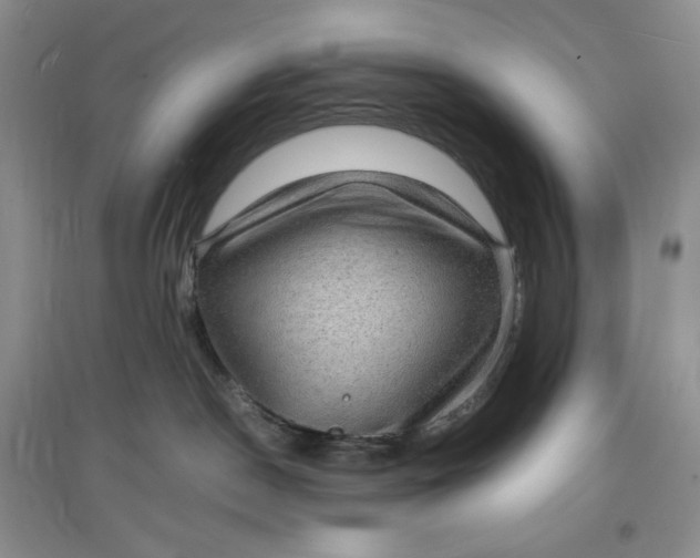 X0000097620190200803142010