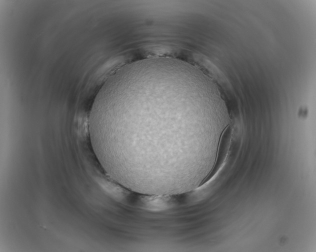X0000097620191200803142010