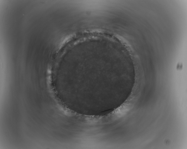 X0000097620192200803142010