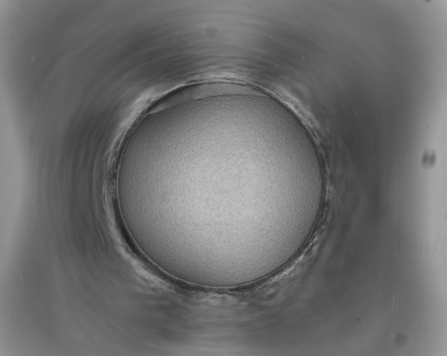 X0000097620193200803142010