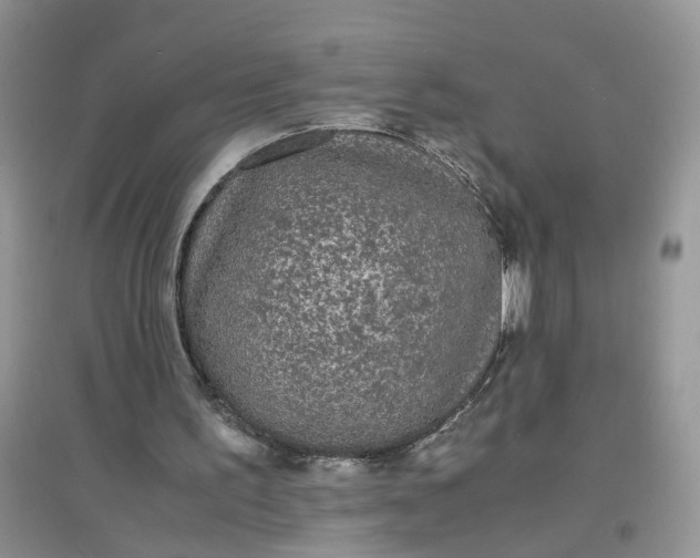 X0000097620195200803142010