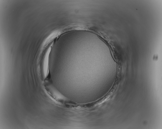 X0000097620197200803142009