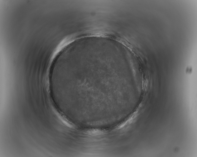 X0000097620198200803142009