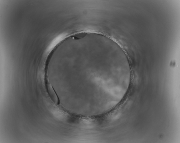 X0000097620199200803142009