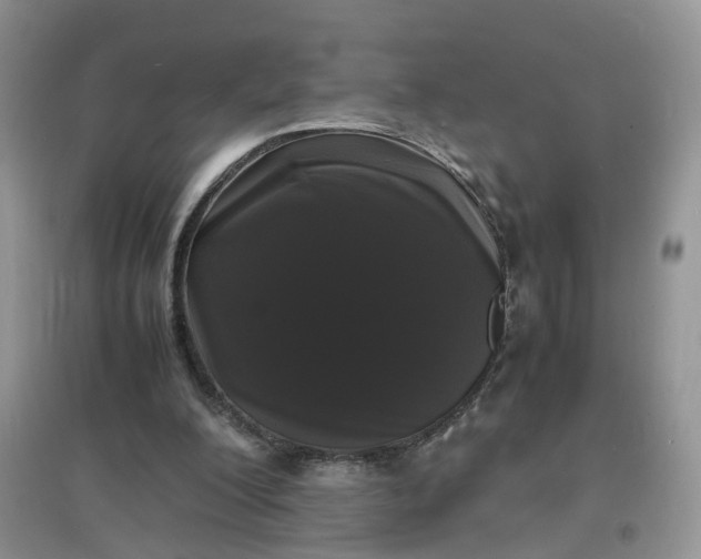 X0000097620200200803142009