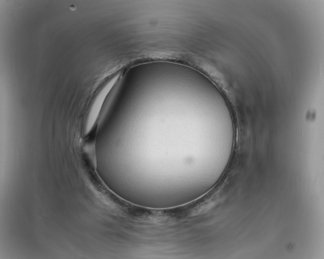X0000097620201200803142009