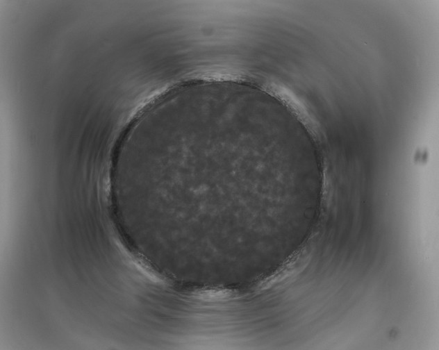 X0000097620202200803142009