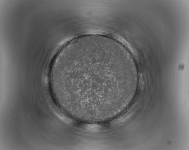 X0000097620203200803142009