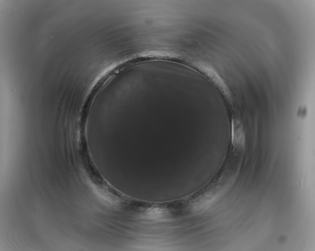 X0000097620204200803142009