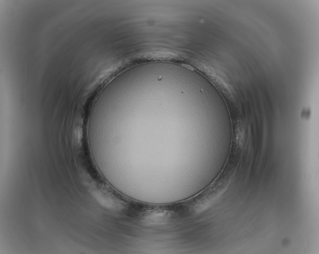 X0000097620206200803142009