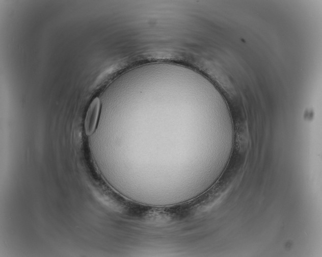 X0000097620207200803142009