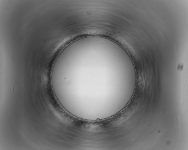 X0000097620208200803142009