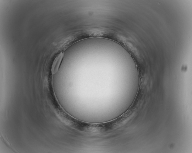 X0000097620209200803142009