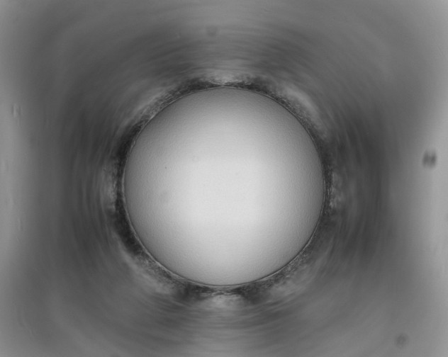 X0000097620210200803142009