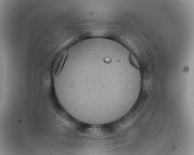 X0000097620211200803142009
