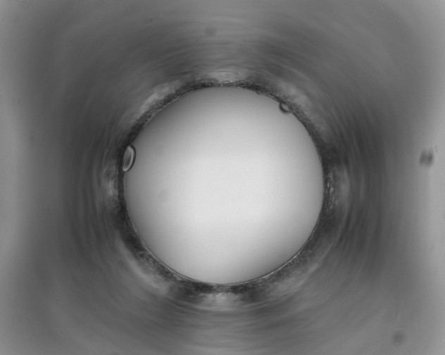 X0000097620212200803142009