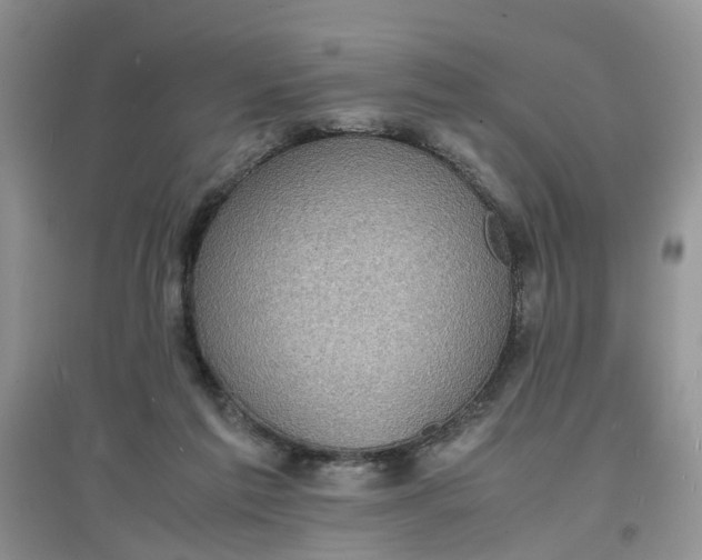 X0000097620213200803142009