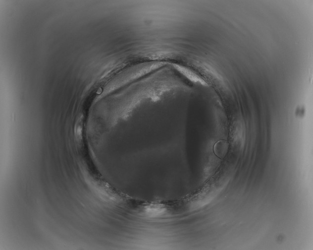 X0000097620214200803142009