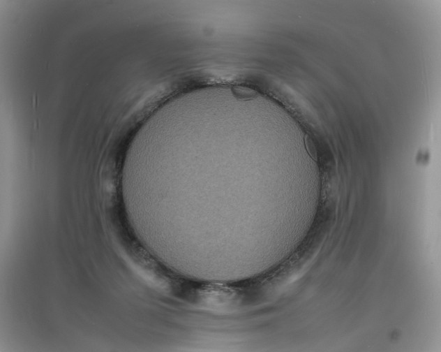 X0000097620215200803142009