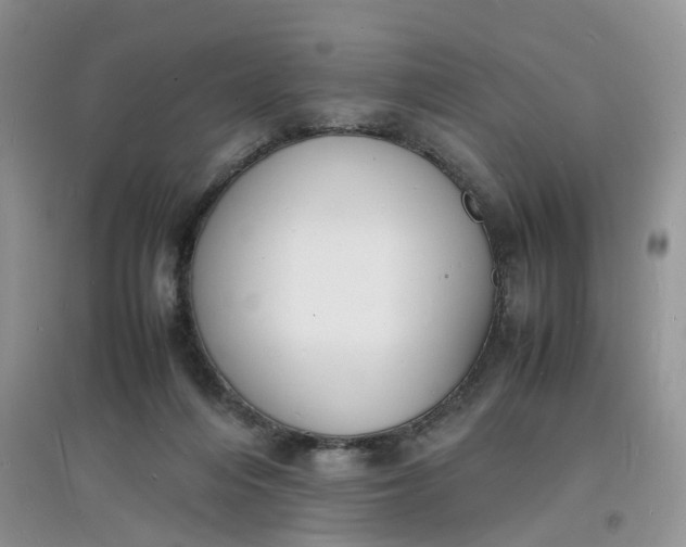 X0000097620216200803142009