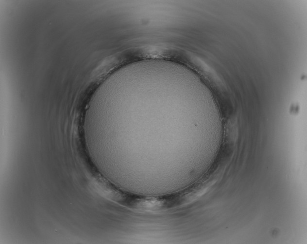 X0000097620217200803142009