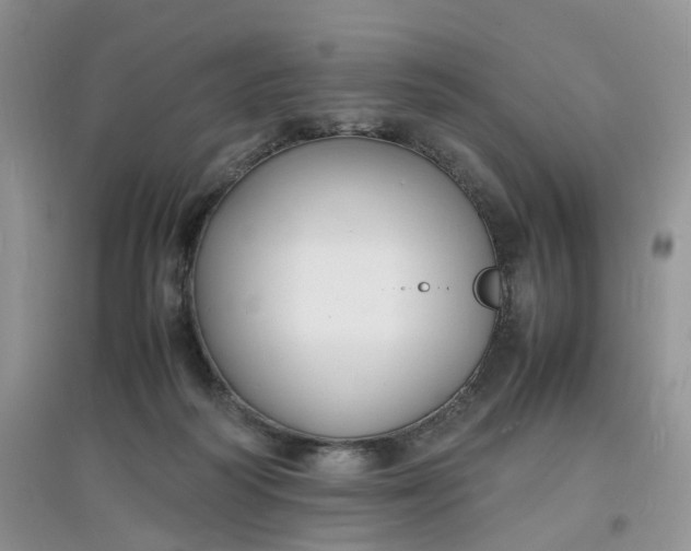 X0000097620218200803142009