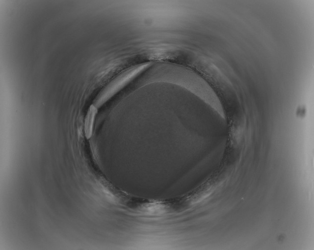 X0000097620219200803142009