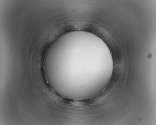 X0000097620221200803142009