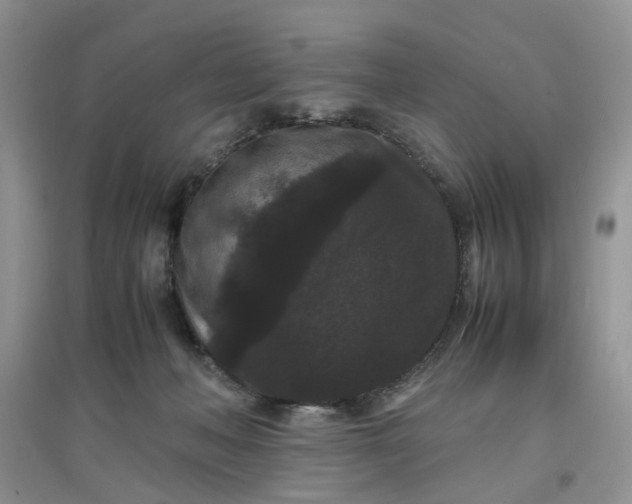 X0000097620222200803142009