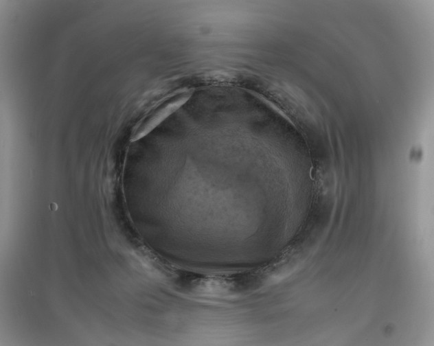 X0000097620223200803142009