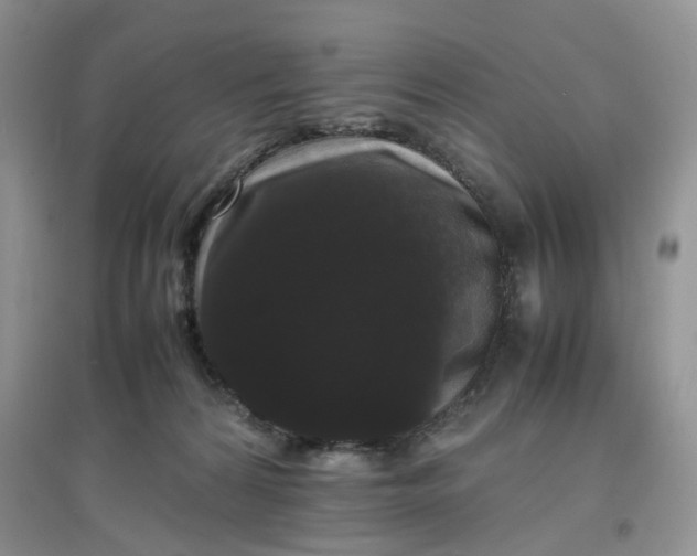 X0000097620224200803142009