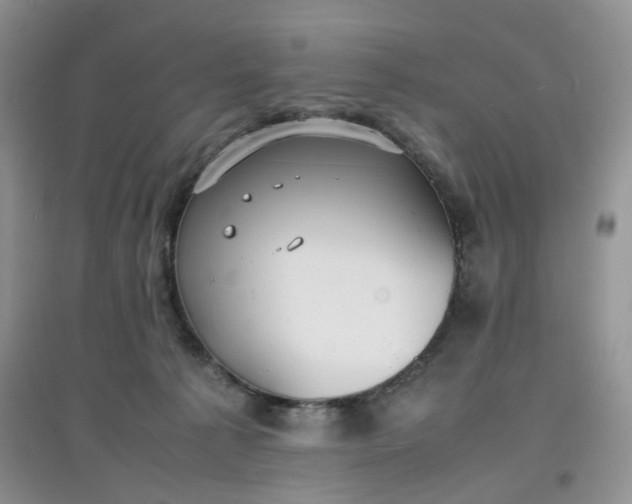 X0000097620225200803142009