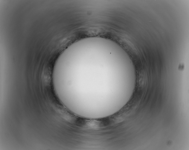 X0000097620226200803142009