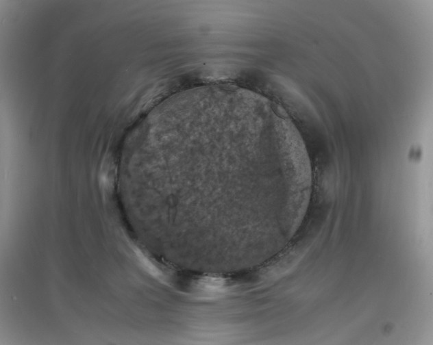 X0000097620227200803142009