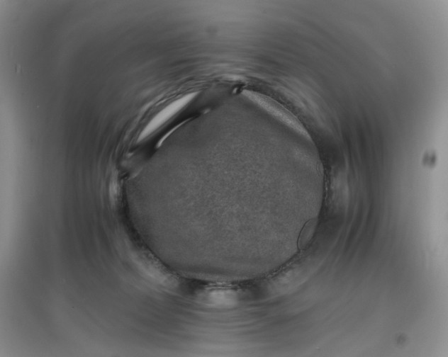 X0000097620228200803142009