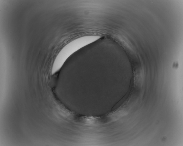 X0000097620229200803142009