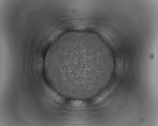 X0000097620230200803142009