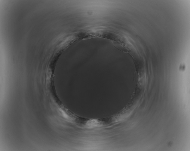 X0000097620231200803142009