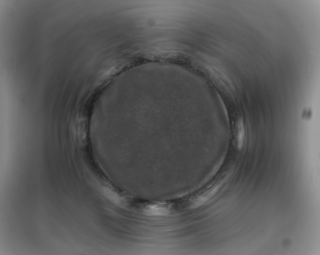 X0000097620232200803142009