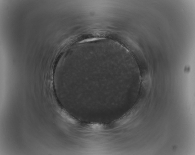 X0000097620233200803142009