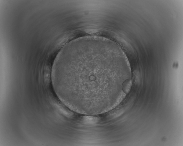 X0000097620234200803142009