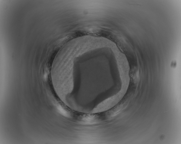 X0000097620235200803142009
