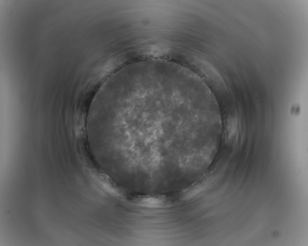 X0000097620236200803142009
