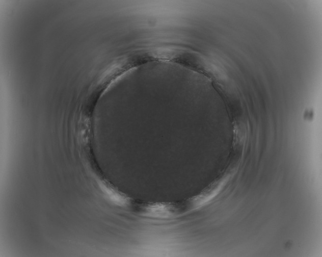 X0000097620237200803142009