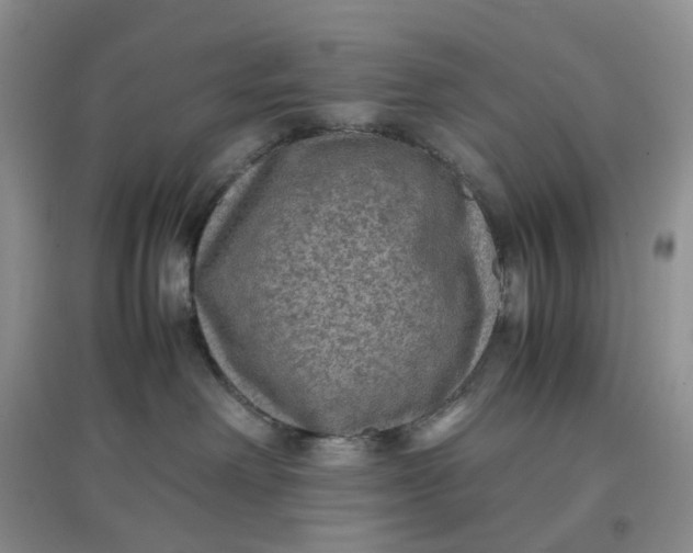X0000097620238200803142009