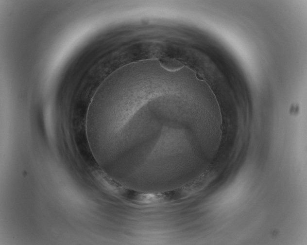 X0000097620239200803142009
