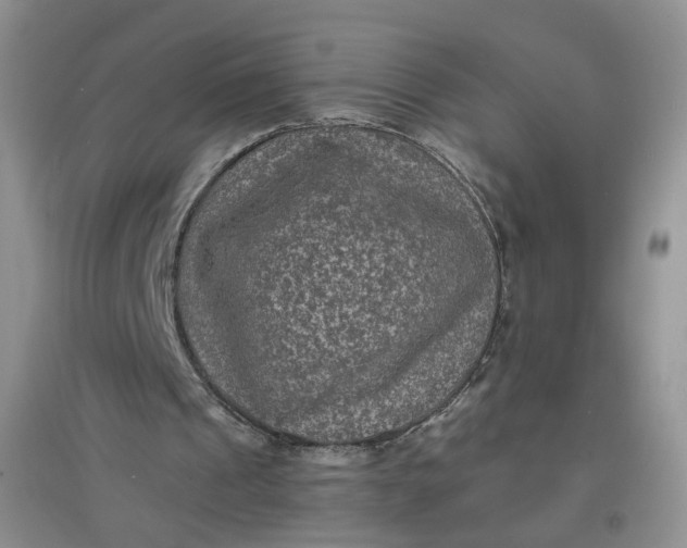 X0000097620241200803142008